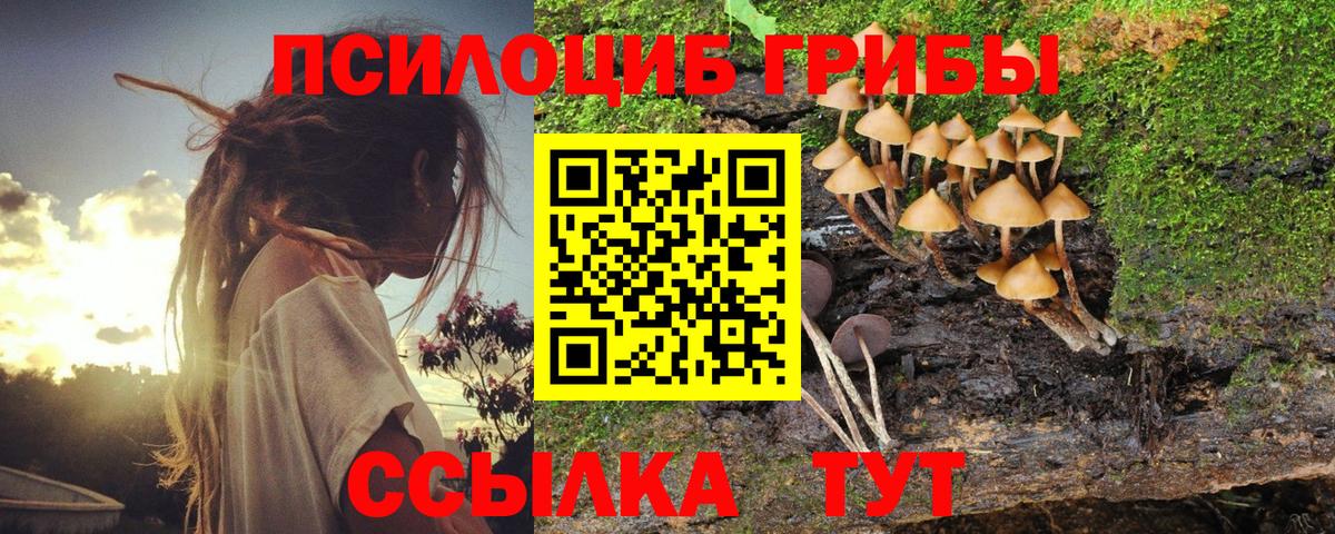 Псилоцибиновые грибы Magic Shrooms  Ейск 
